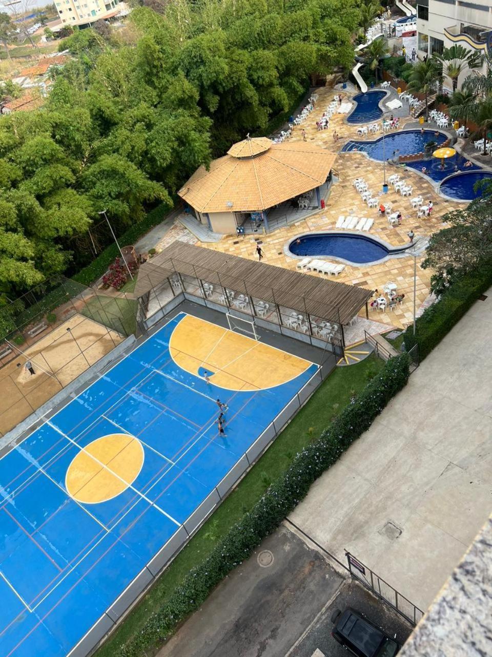 Apto Golden Dolphin